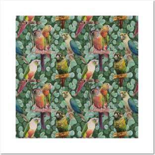 Conures in Eucalyptus Leaves in Dark Green Posters and Art